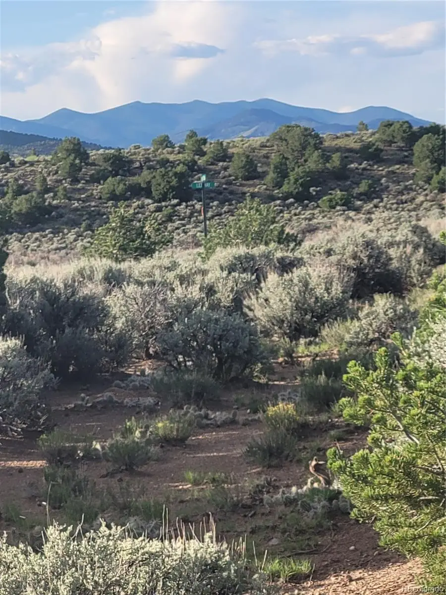 1061 Lee Way, Fort Garland, CO 81133 - Image #2