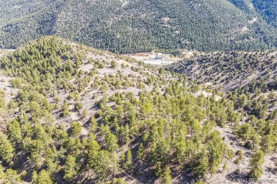 Wild Wagoner Tr, Dumont, CO 80452 - #2