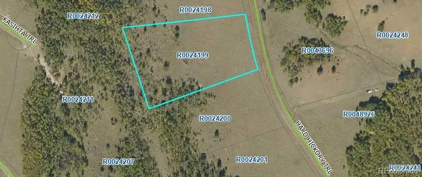 2000 Hard Hickory Trail, Guffey, CO 80820 - #1