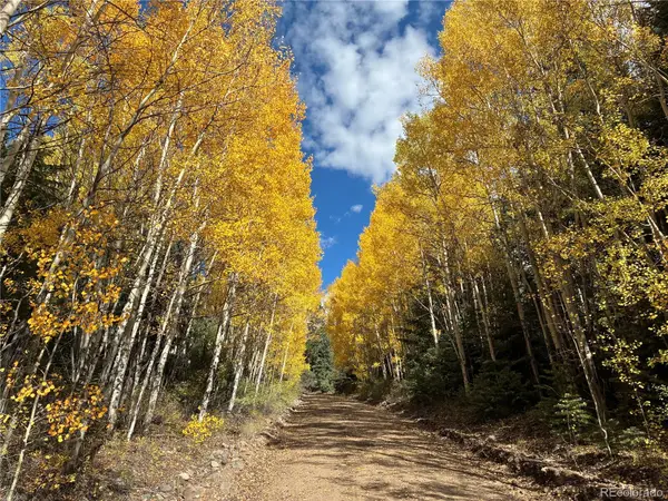 LOT 5683 Battersea, San Luis, CO 81152
