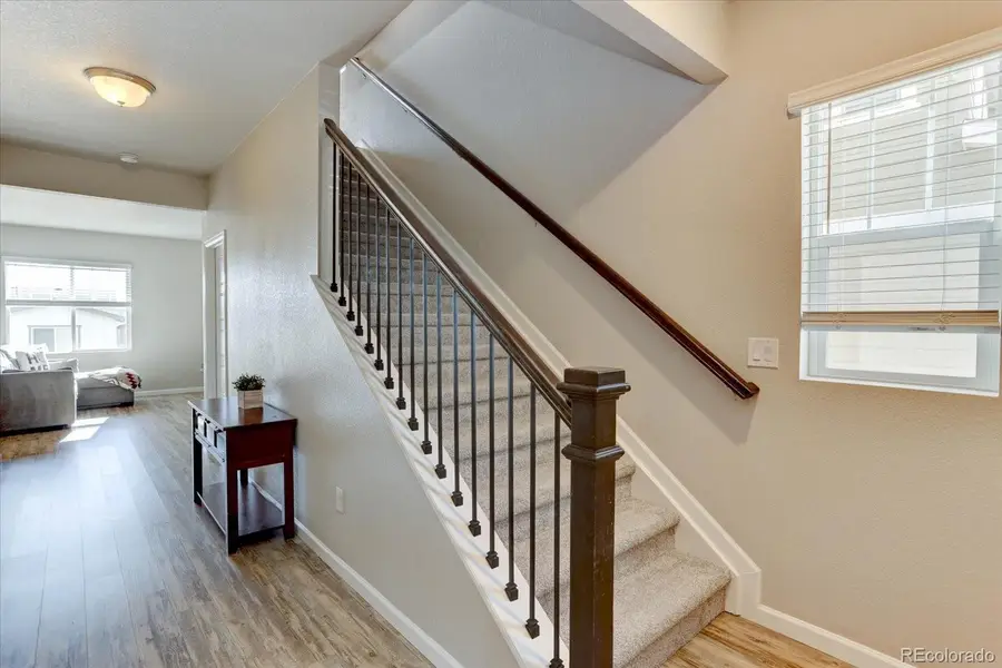 1958 Villageview Lane, Castle Rock, CO 80104 - #3