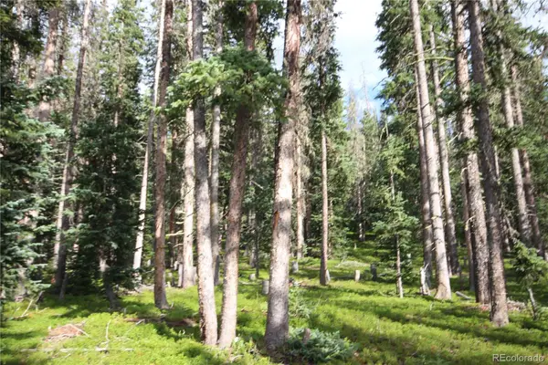 LOT 6524 Forbes Road, San Luis, CO 81152