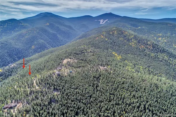 1234 Warren Gulch Road, Idaho Springs, CO 80452