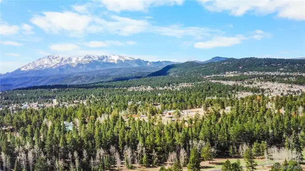 156 E Ridge Drive, Woodland Park, CO 80863