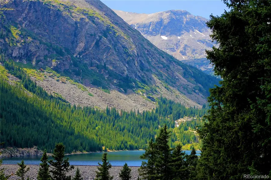 157 Goldfinch Place, Alma, CO 80420 - Image #2