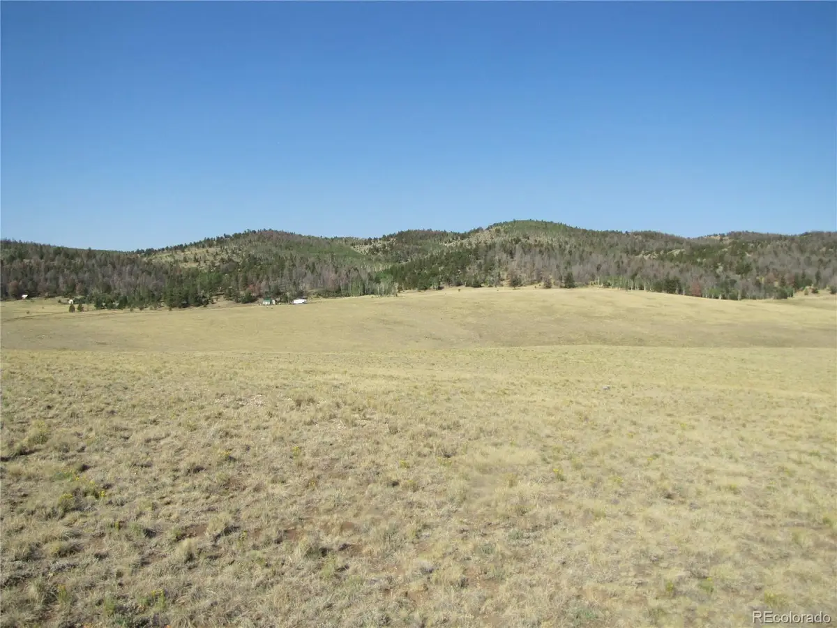 1027 Bolster Drive, Hartsel, CO 80449 - #1