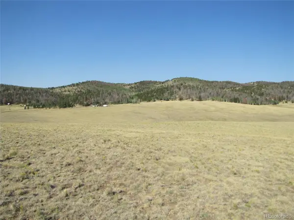 1027 Bolster Drive, Hartsel, CO 80449