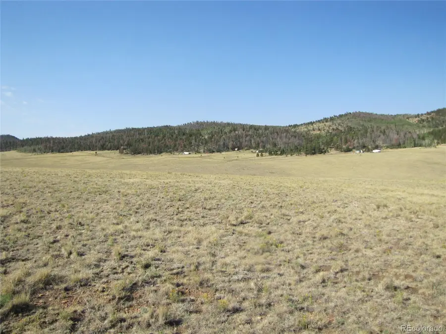 1027 Bolster Drive, Hartsel, CO 80449 - #2