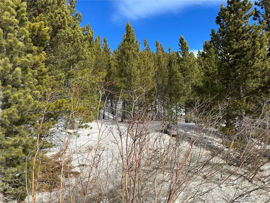 691 Alice Road, Idaho Springs, CO 80452 - Image #2