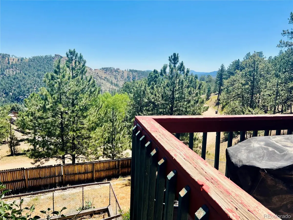 362 Raven Drive, Bailey, CO 80421 - #1