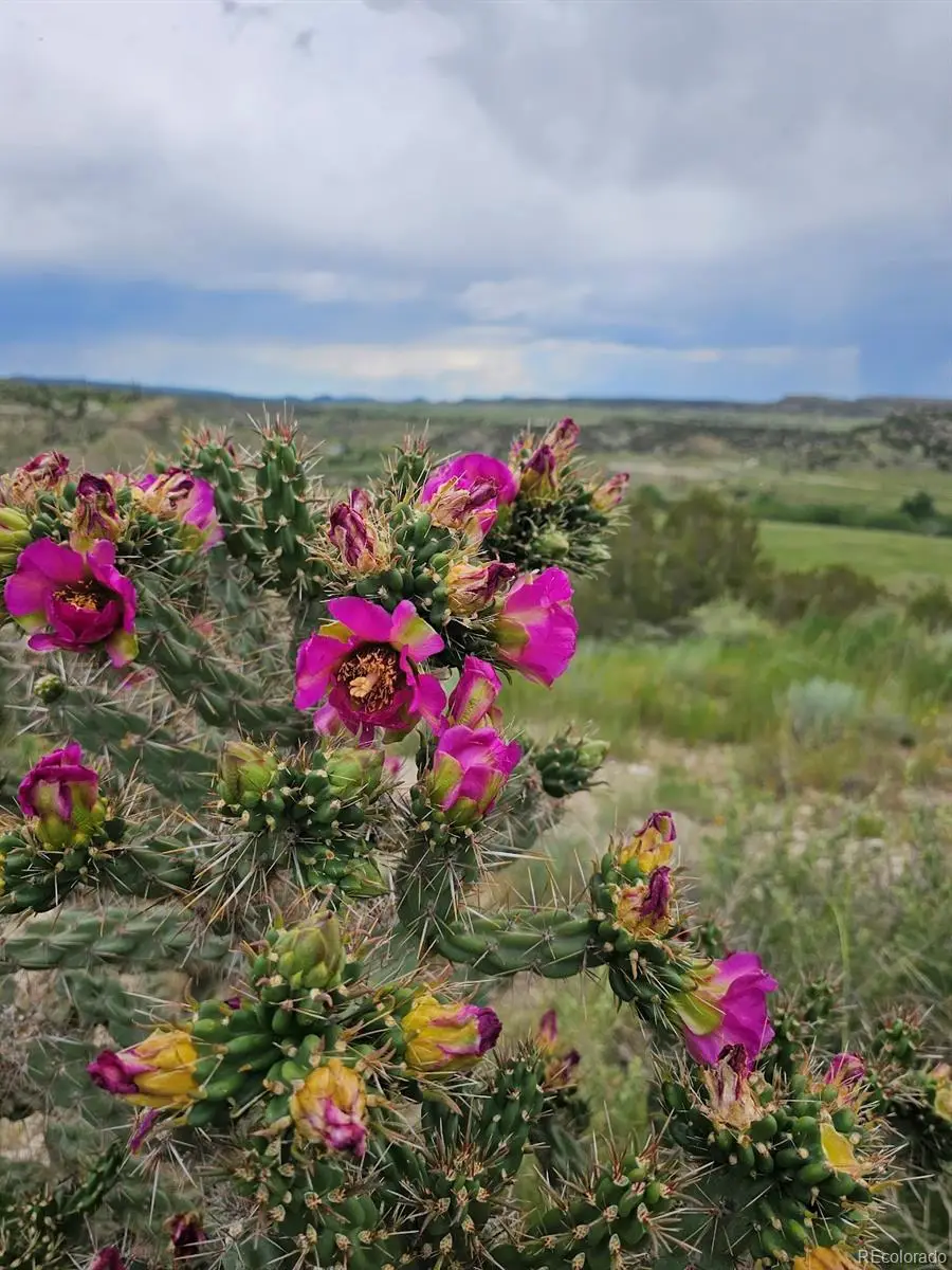 475 P Street, Penrose, CO 81240 - Image #2