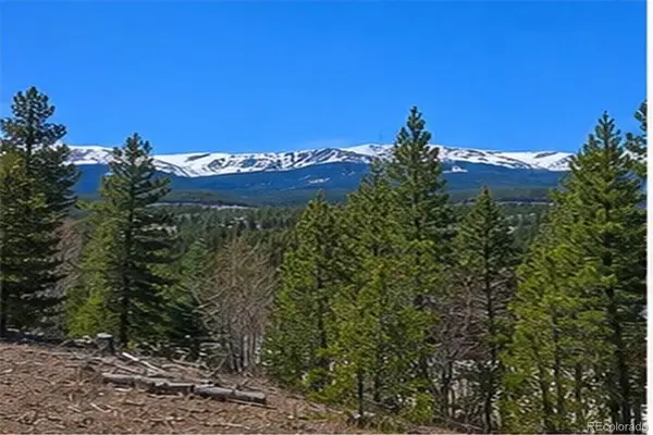 90 Shadows Drive, Breckenridge, CO 80424