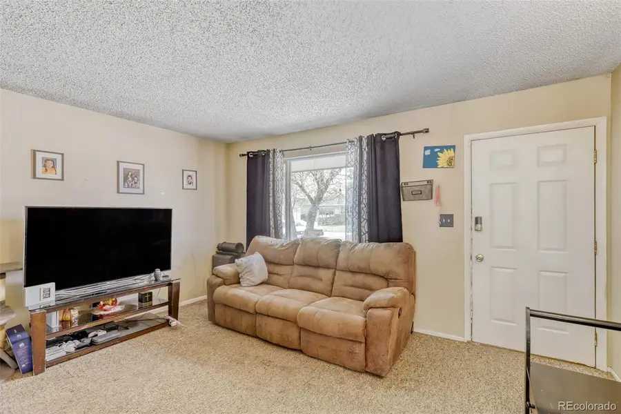 910 Dogwood Avenue, Fort Lupton, CO 80621 - #3