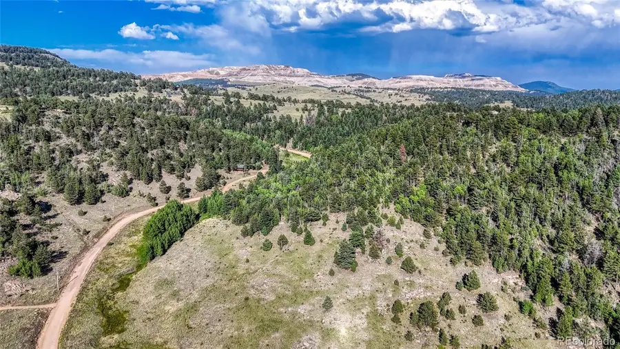 83 Penrose Circle, Cripple Creek, CO 80813 - #3