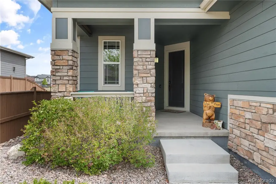 3977 Happy Hollow Drive, Castle Rock, CO 80104 - #2
