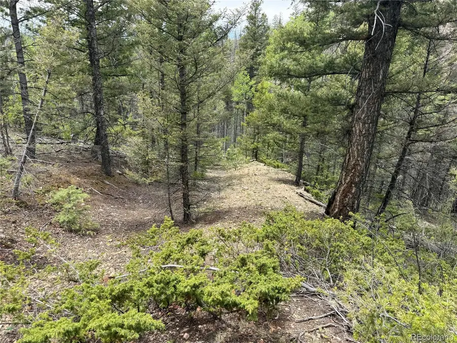 Lot 6795 Starkweather Road, Fort Garland, CO 81133 - #3