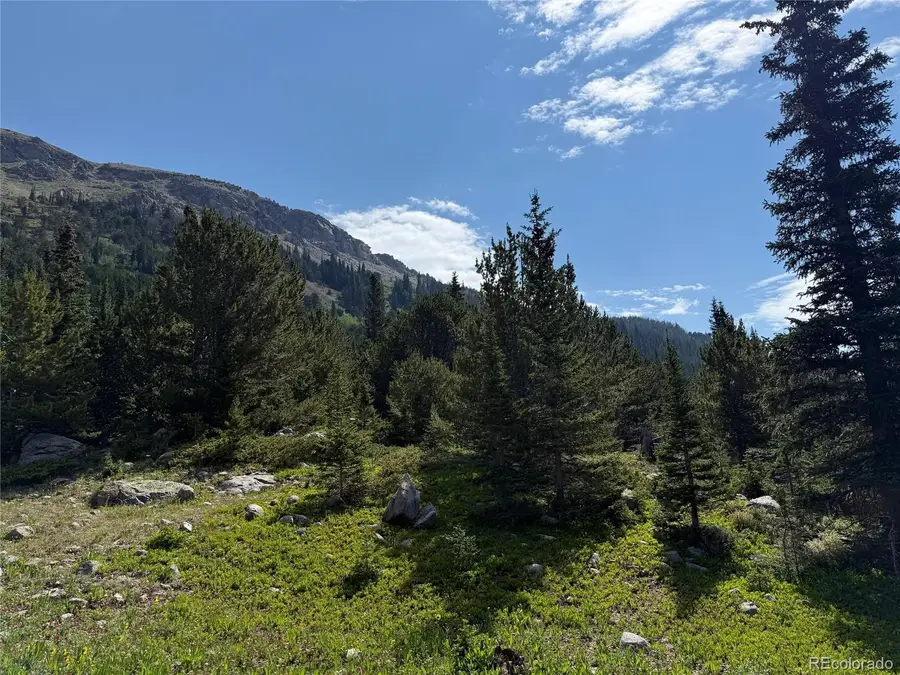 4880 Fourth Of July Road, Nederland, CO 80466 - #2