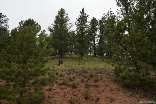 557 Gold King Drive, Cripple Creek, CO 80813