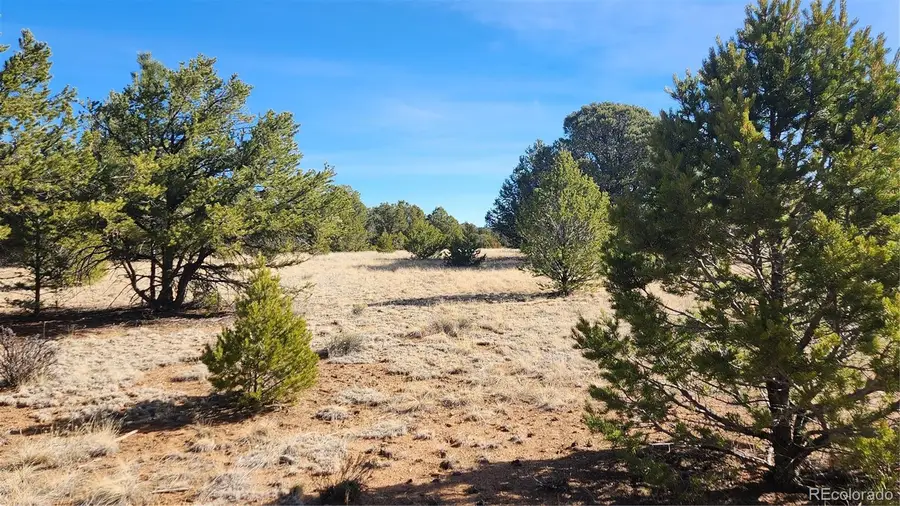 312 16th Trail, Cotopaxi, CO 81223 - #3