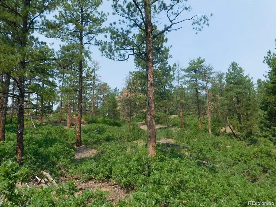 4356 Elati Road, Larkspur, CO 80118 - Image #3