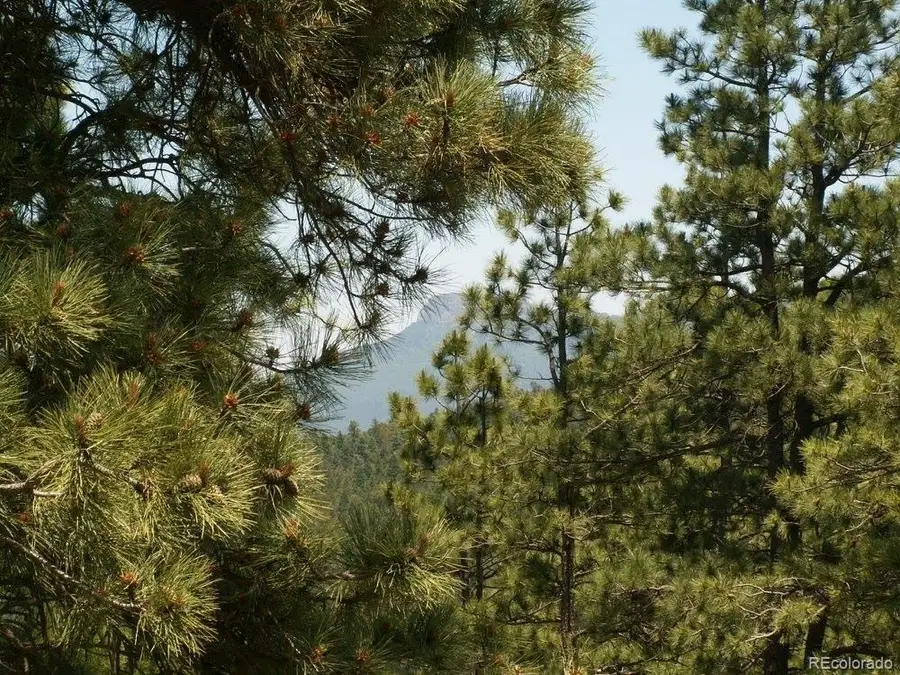 33161 Gallinas Parkway, Trinidad, CO 81082 - Image #2