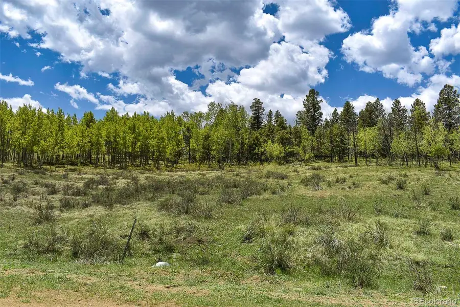 130 Rock Drive, Lake George, CO 80827 - Image #2