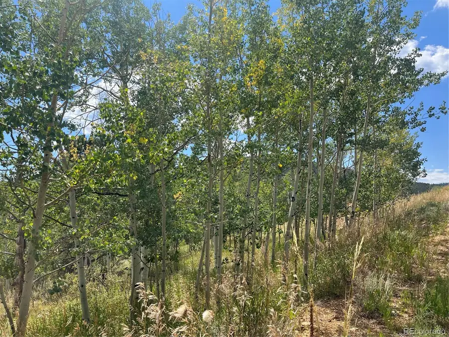 795 Russell Gulch Road, Central City, CO 80427 - #3