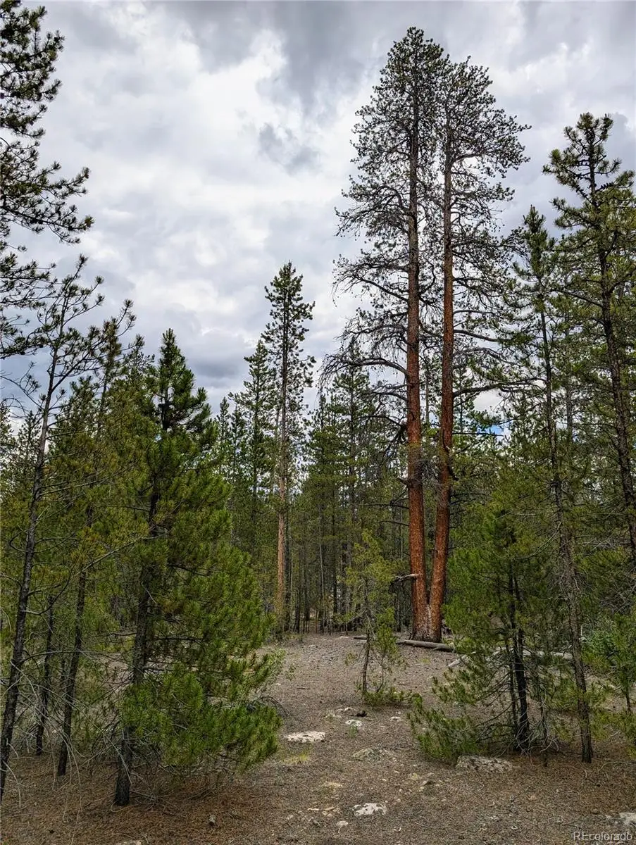 437 Juniper Drive, Twin Lakes, CO 81251 - Image #1