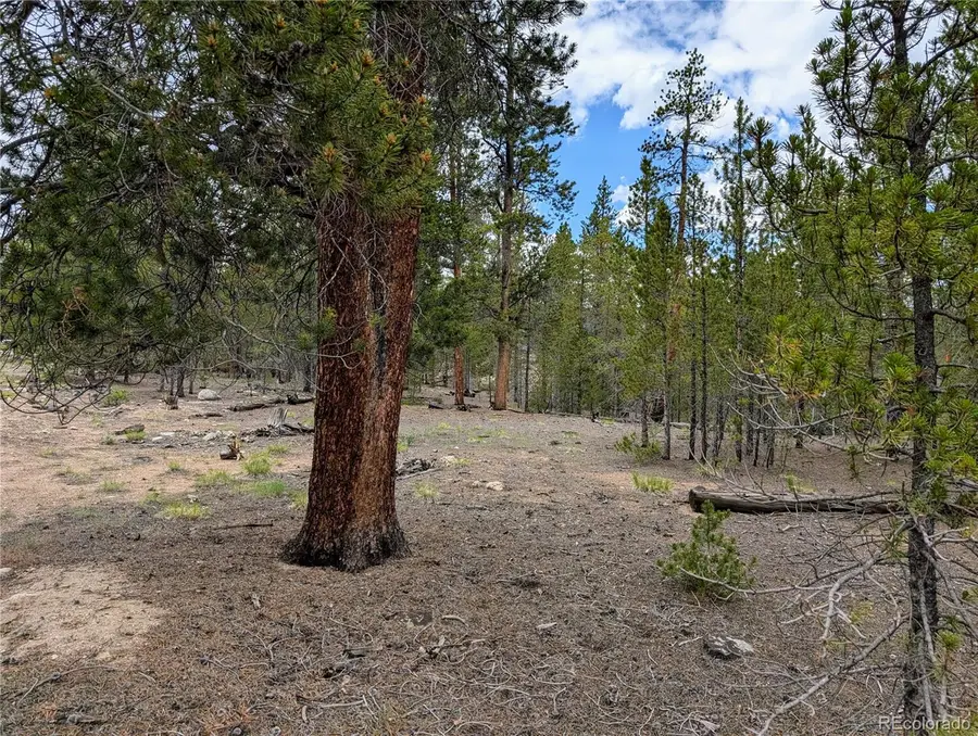 437 Juniper Drive, Twin Lakes, CO 81251 - Image #2