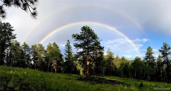 045336 S Elk Creek Road, Pine, CO 80470