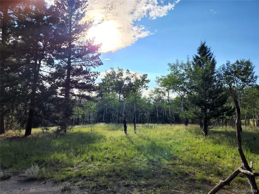 045336 S Elk Creek Road, Pine, CO 80470 - #2