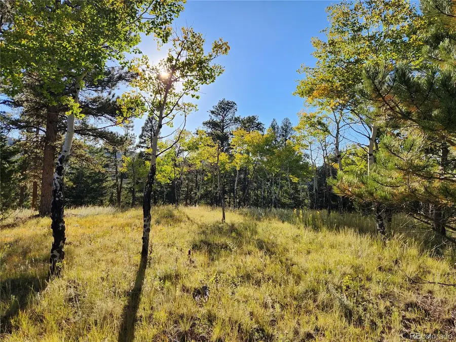 045336 S Elk Creek Road, Pine, CO 80470 - #3