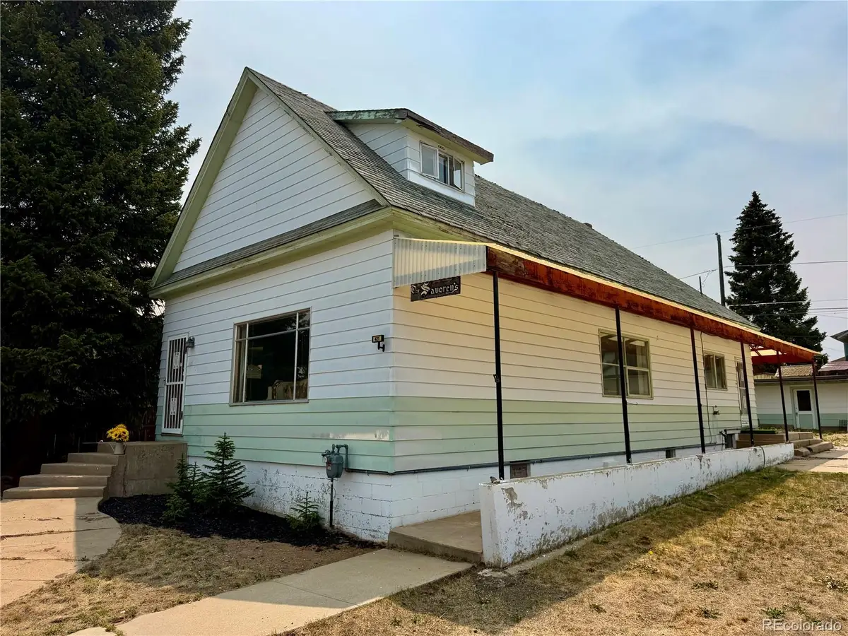 421 W 8th Street, Leadville, CO 80461 - #1