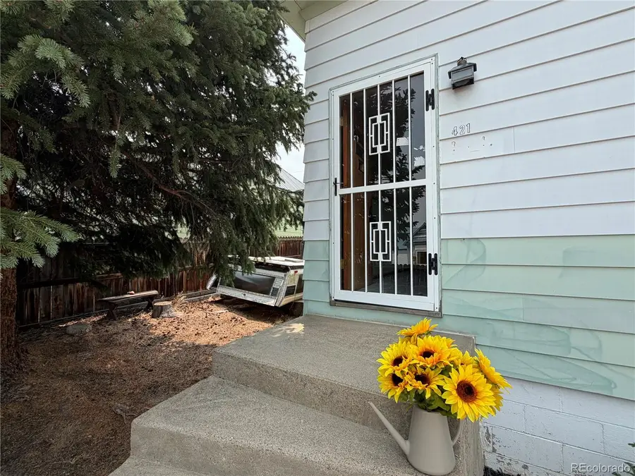 421 W 8th Street, Leadville, CO 80461 - #2