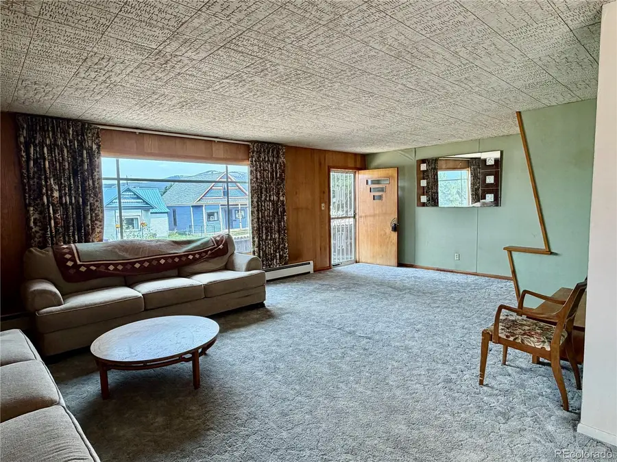 421 W 8th Street, Leadville, CO 80461 - #3