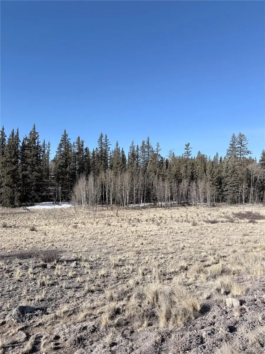 50 Rawhide Way, Jefferson, CO 80456 - #2