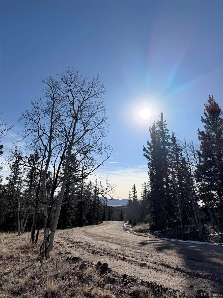 50 Rawhide Way, Jefferson, CO 80456 - #3