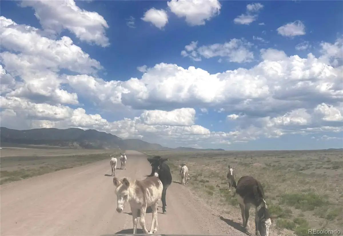 Parrot Drive, Alamosa, CO 81101 - Image #1