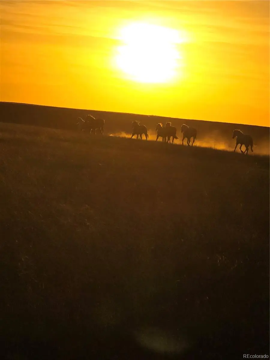 Parrot Drive, Alamosa, CO 81101 - Image #3