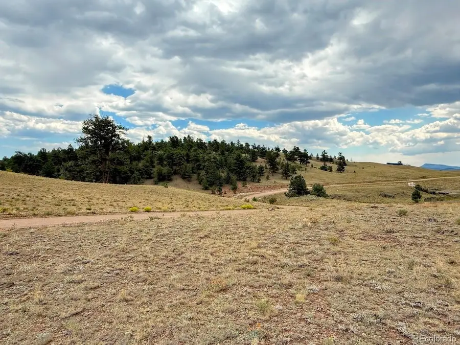 Cherokee Trail, Hartsel, CO 80449 - Image #3
