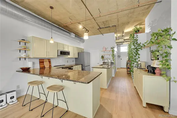 290 W 12th Avenue #205, Denver, CO 80204