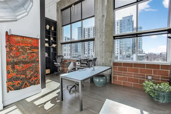 1050 Cherokee Street #407, Denver, CO 80204