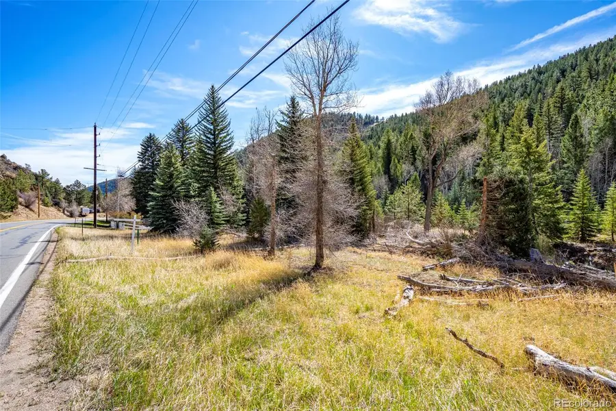 1851 Hwy 103, Idaho Springs, CO 80452 - #3