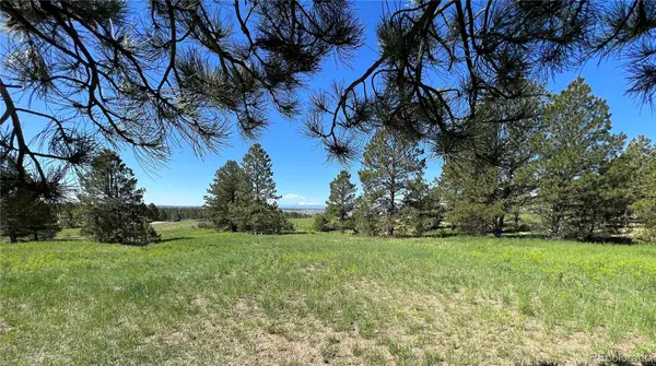 10290 Democrat Road, Parker, CO 80134