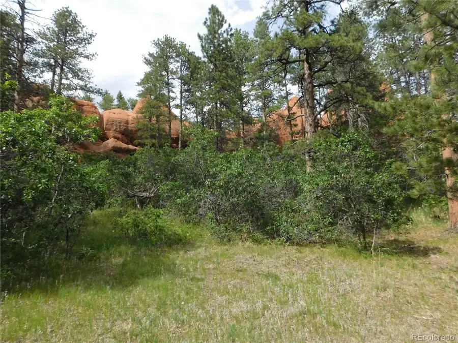 8202 Bannock Drive, Larkspur, CO 80118 - #2
