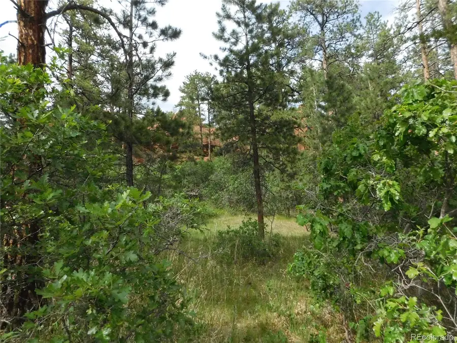 8202 Bannock Drive, Larkspur, CO 80118 - #3