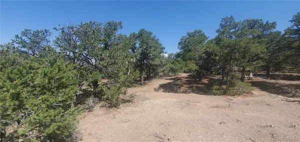 Lot 1412 Michaels Road, Fort Garland, CO 81133