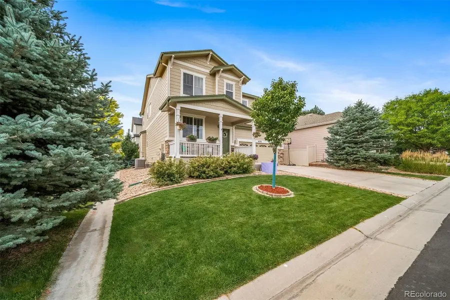 18236 Shadbury Lane, Parker, CO 80134 - #3