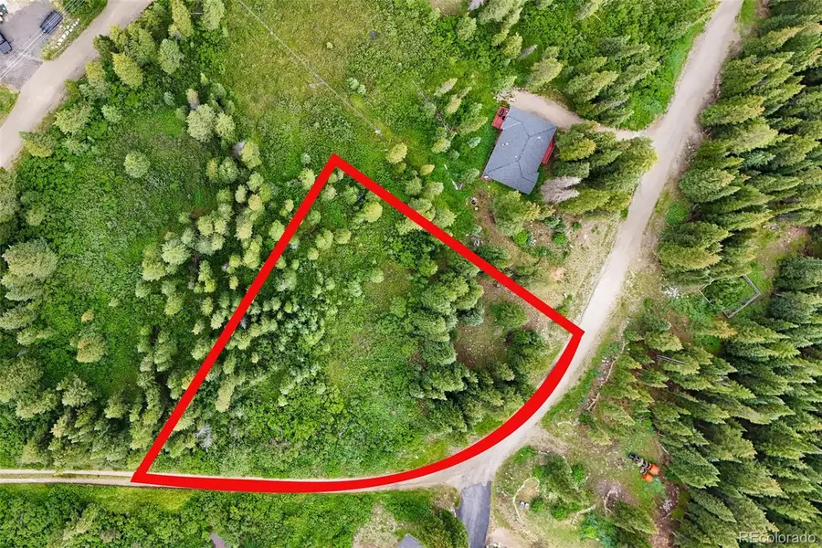0057 County Road 675, Breckenridge, CO 80424 - #3