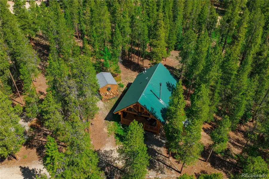 324 Ski Doo Road, Fairplay, CO 80440 - #2